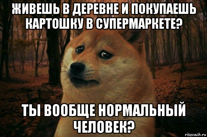 живешь в деревне и покупаешь картошку в супермаркете? ты вообще нормальный человек?, Мем SAD DOGE