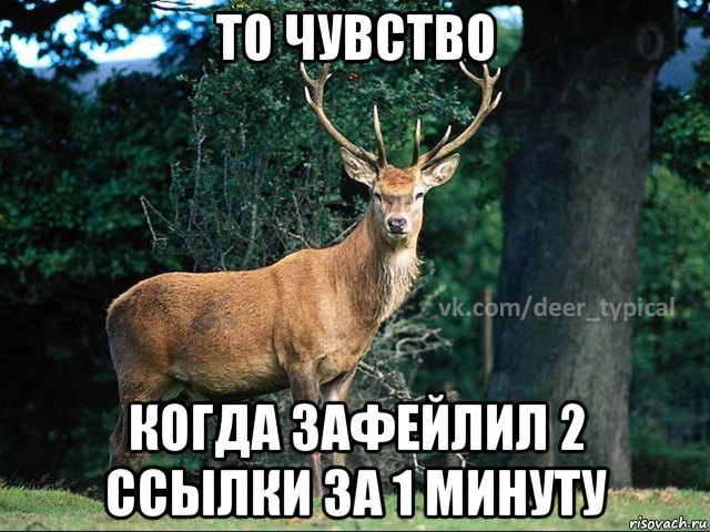 то чувство когда зафейлил 2 ссылки за 1 минуту, Мем Паблик Типичный олень
