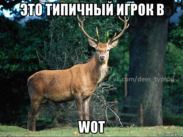 это типичный игрок в wot