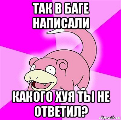 так в баге написали какого хуя ты не ответил?, Мем слоупок