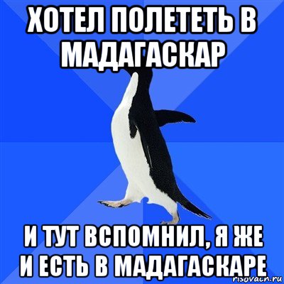 хотел полететь в мадагаскар и тут вспомнил, я же и есть в мадагаскаре, Мем  Социально-неуклюжий пингвин