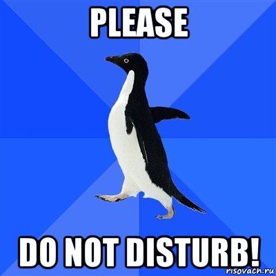 please do not disturb!, Мем  Социально-неуклюжий пингвин