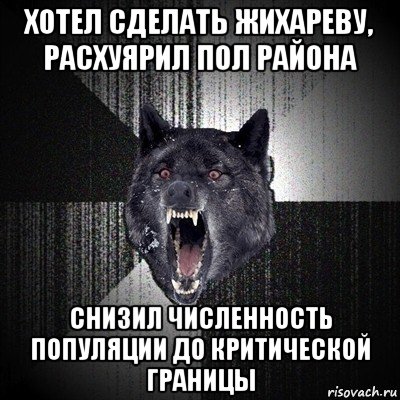 хотел сделать жихареву, расхуярил пол района снизил численность популяции до критической границы, Мем Сумасшедший волк