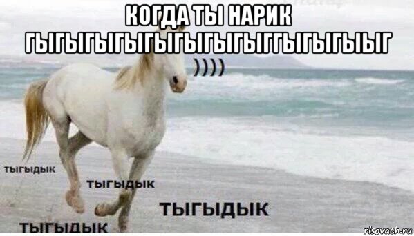 когда ты нарик гыгыгыгыгыгыгыгыггыгыгыыг , Мем   Тыгыдык