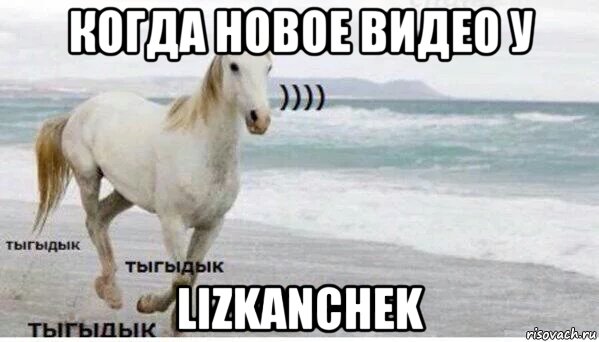 когда новое видео у lizkanchek, Мем   Тыгыдык