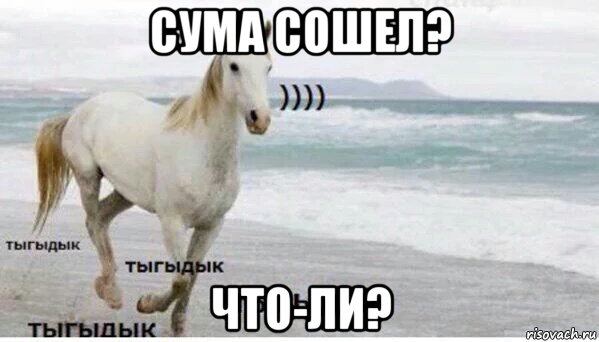 сума сошел? что-ли?, Мем   Тыгыдык