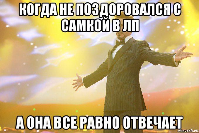 когда не поздоровался с самкой в лп а она все равно отвечает, Мем Тони Старк (Роберт Дауни младший)