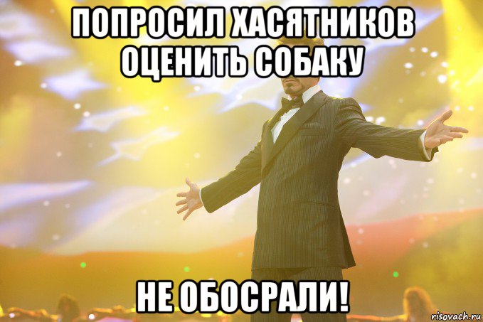 попросил хасятников оценить собаку не обосрали!, Мем Тони Старк (Роберт Дауни младший)