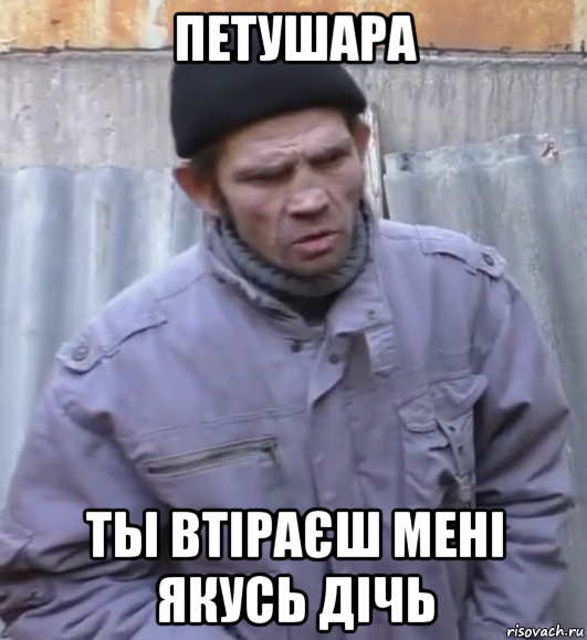 петушара ты втіраєш мені якусь дічь, Мем  Ты втираешь мне какую то дичь