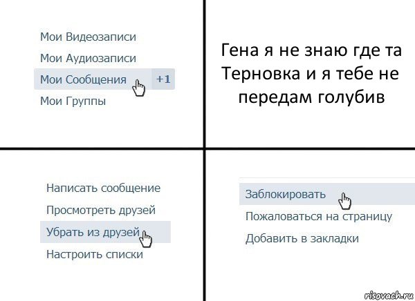 Гена я не знаю где та Терновка и я тебе не передам голубив, Комикс  Удалить из друзей