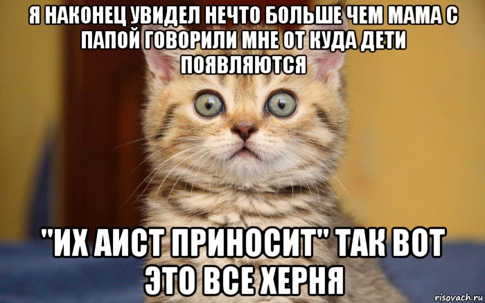 я наконец увидел нечто больше чем мама с папой говорили мне от куда дети появляются "их аист приносит" так вот это все херня, Мем  удивление