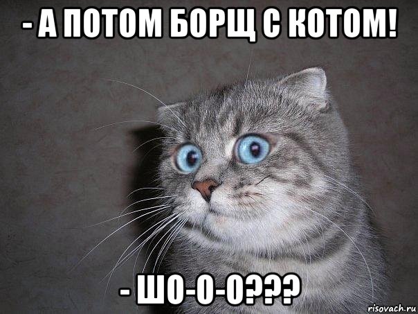 - а потом борщ с котом! - шо-о-о???, Мем  удивлённый кот