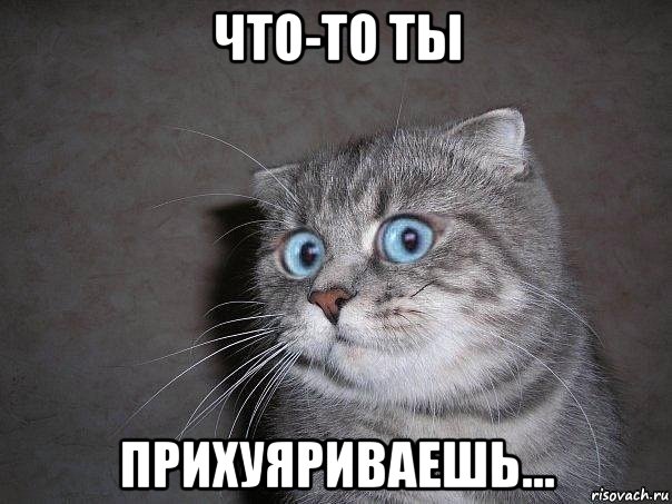 что-то ты прихуяриваешь..., Мем  удивлённый кот