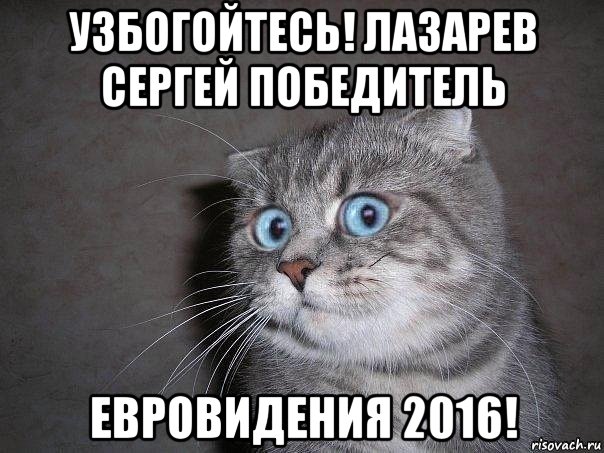 узбогойтесь! лазарев сергей победитель евровидения 2016!, Мем  удивлённый кот