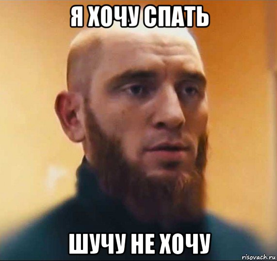 я хочу спать шучу не хочу, Мем Шутник