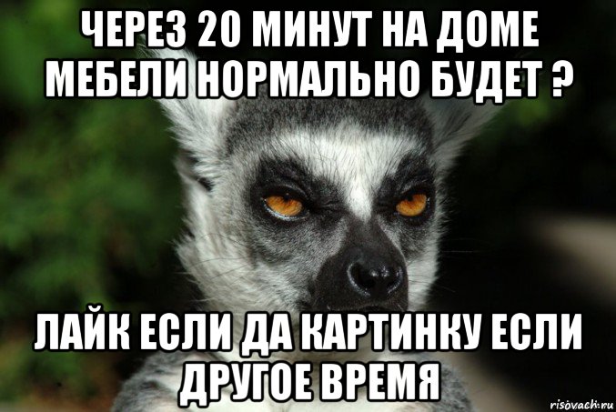 через 20 минут на доме мебели нормально будет ? лайк если да картинку если другое время, Мем   Я збагоен