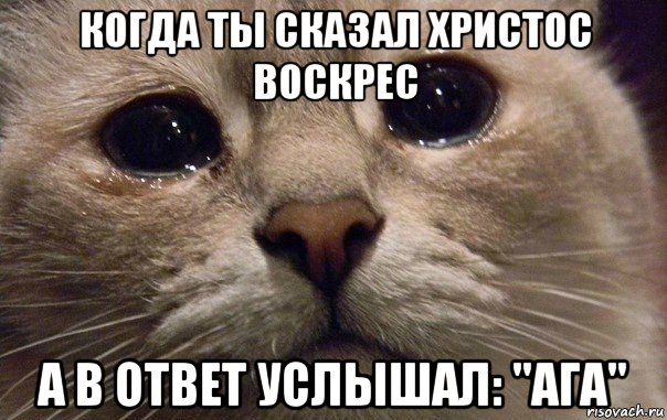 когда ты сказал христос воскрес а в ответ услышал: "ага", Мем   В мире грустит один котик