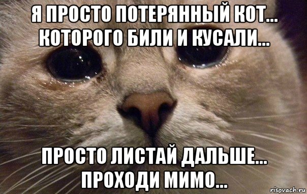 я просто потерянный кот... которого били и кусали... просто листай дальше... проходи мимо..., Мем   В мире грустит один котик