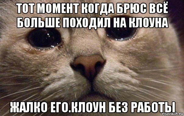 тот момент когда брюс всё больше походил на клоуна жалко его.клоун без работы, Мем   В мире грустит один котик