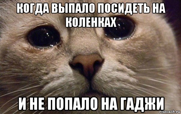 когда выпало посидеть на коленках и не попало на гаджи, Мем   В мире грустит один котик