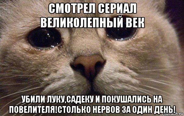 смотрел сериал великолепный век убили луку,садеку и покушались на повелителя!столько нервов за один день!, Мем   В мире грустит один котик