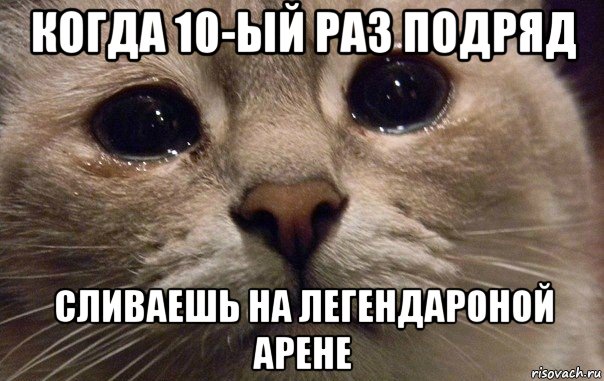 когда 10-ый раз подряд сливаешь на легендароной арене, Мем   В мире грустит один котик