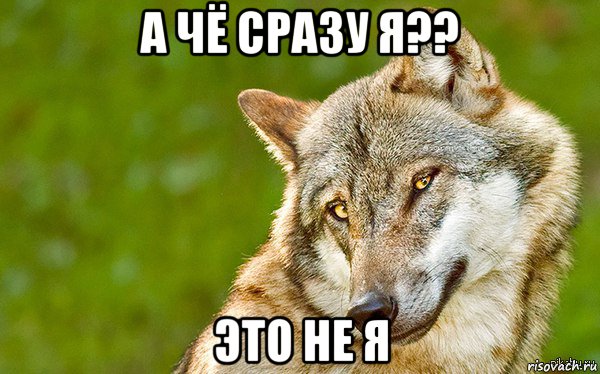 а чё сразу я?? это не я, Мем   Volf