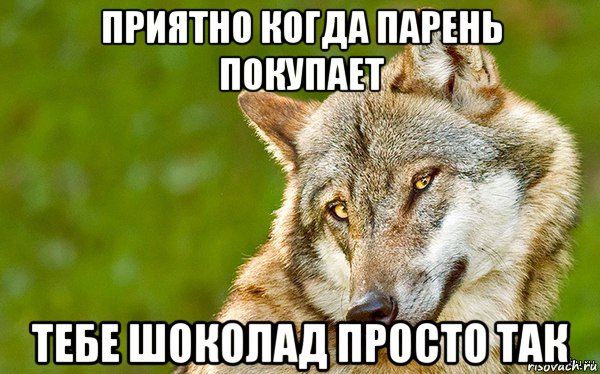 приятно когда парень покупает тебе шоколад просто так, Мем   Volf