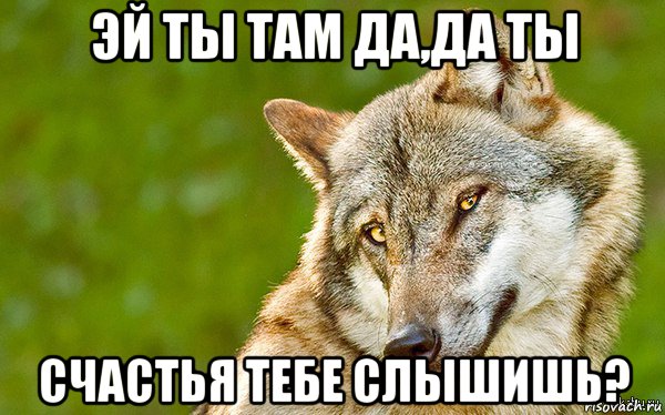 эй ты там да,да ты счастья тебе слышишь?, Мем   Volf