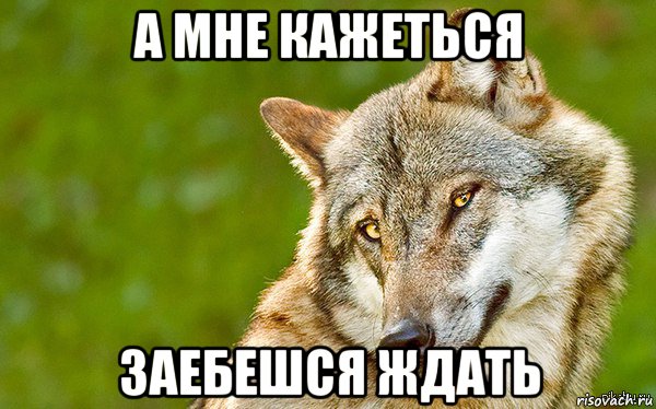 а мне кажеться заебешся ждать, Мем   Volf