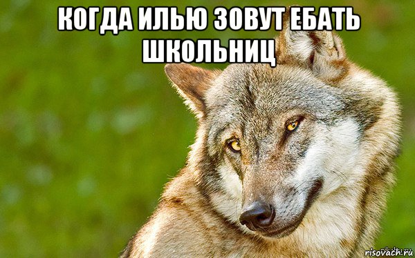 когда илью зовут ебать школьниц , Мем   Volf