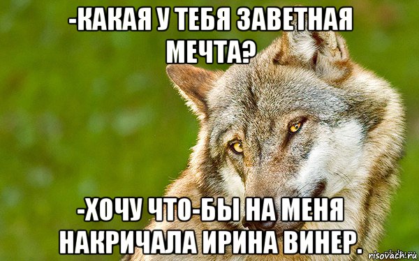 -какая у тебя заветная мечта? -хочу что-бы на меня накричала ирина винер., Мем   Volf