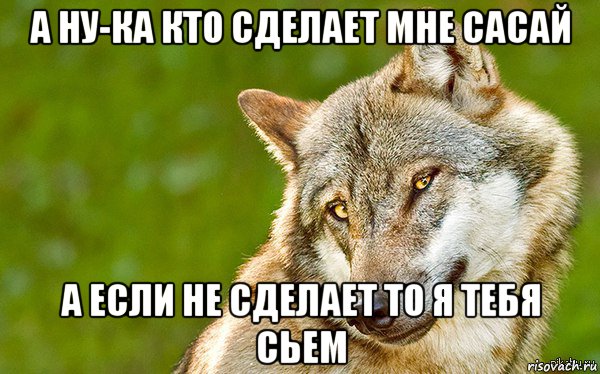 а ну-ка кто сделает мне сасай а если не сделает то я тебя сьем, Мем   Volf