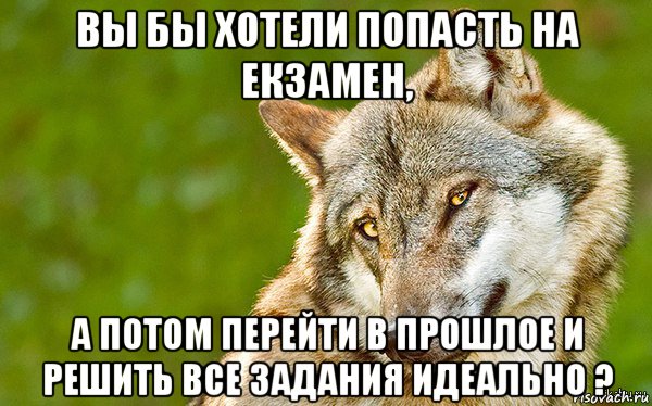 вы бы хотели попасть на екзамен, а потом перейти в прошлое и решить все задания идеально ?, Мем   Volf