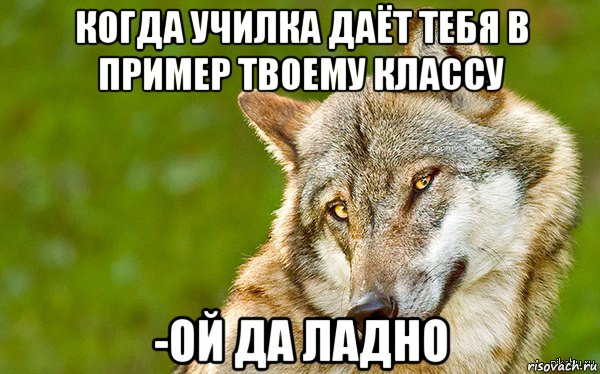 когда училка даёт тебя в пример твоему классу -ой да ладно, Мем   Volf