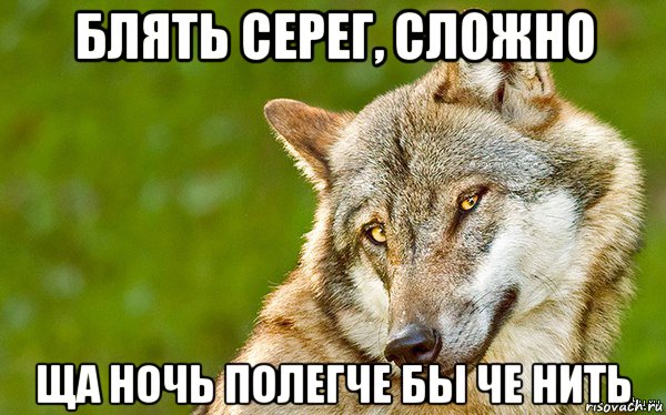 блять серег, сложно ща ночь полегче бы че нить, Мем   Volf