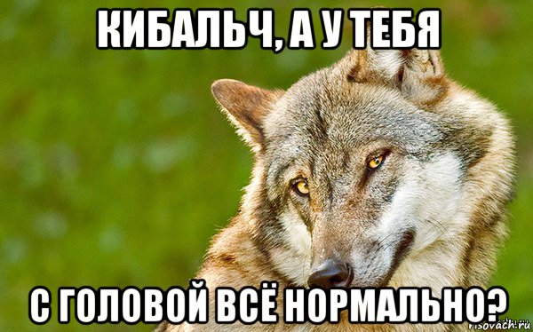 кибальч, а у тебя с головой всё нормально?, Мем   Volf