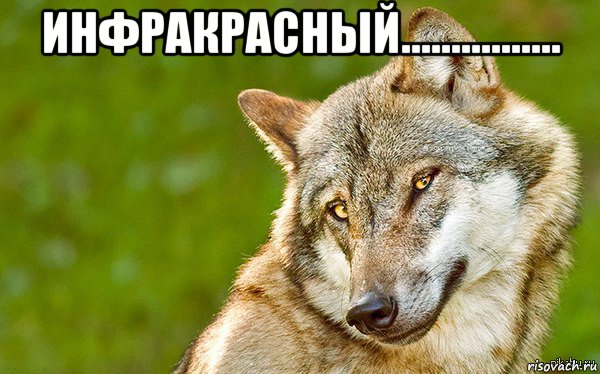 инфракрасный................ , Мем   Volf