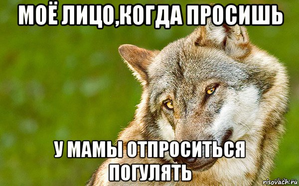 моё лицо,когда просишь у мамы отпроситься погулять, Мем   Volf