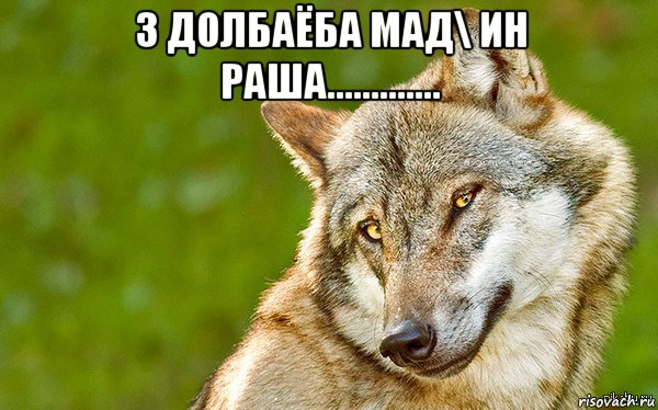 3 долбаёба мад\ ин раша............. , Мем   Volf