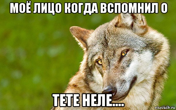 моё лицо когда вспомнил о тете неле...., Мем   Volf