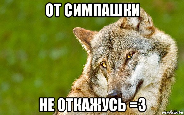 от симпашки не откажусь =3, Мем   Volf