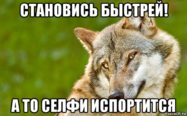 становись быстрей! а то селфи испортится, Мем   Volf