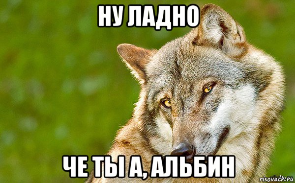 ну ладно че ты а, альбин, Мем   Volf