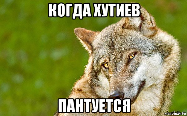 когда хутиев пантуется, Мем   Volf