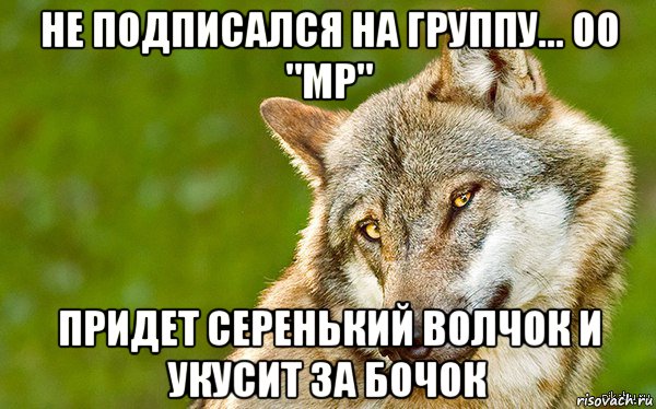 не подписался на группу... oo "мр" придет серенький волчок и укусит за бочок, Мем   Volf