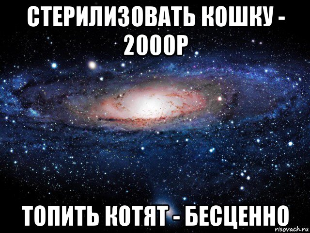 стерилизовать кошку - 2000р топить котят - бесценно, Мем Вселенная