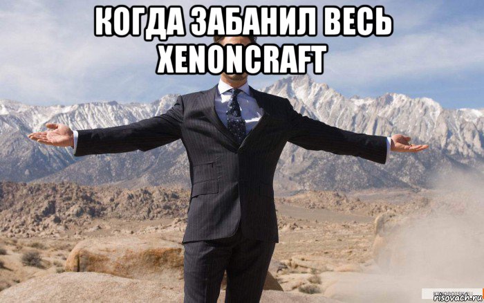 когда забанил весь xenoncraft , Мем железный человек