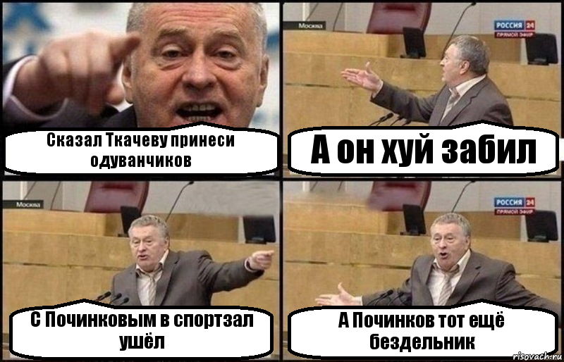 Сказал Ткачеву принеси одуванчиков А он хуй забил С Починковым в спортзал ушёл А Починков тот ещё бездельник, Комикс Жириновский