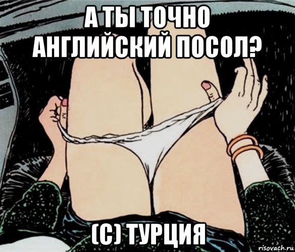 а ты точно английский посол? (с) турция, Мем А ты точно